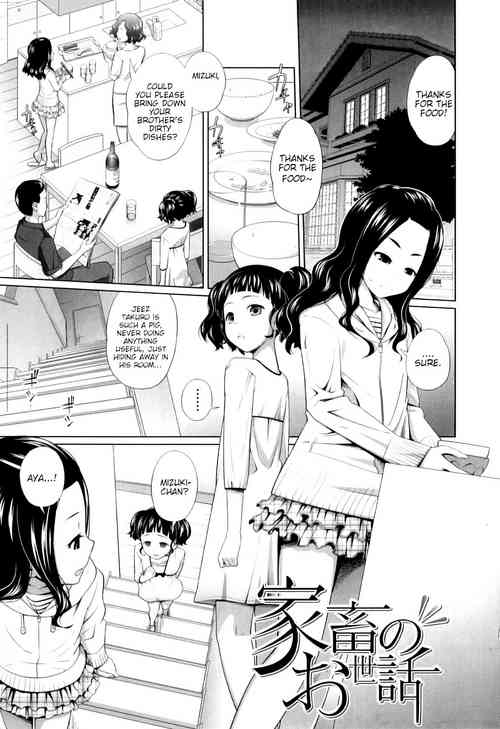 Download Kachiku no Osewa | Caring for pets