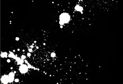 Page 2 of S.B.O.T.D.split