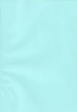 Page 3 of Pillow Color