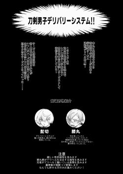 Page 2 of Delivery Anija