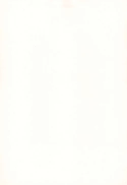 Page 3 of Kanoka Challenge_plot 2