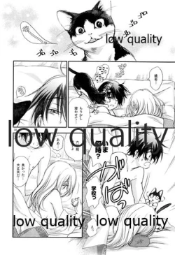 Page 29 of 靄の中の猫