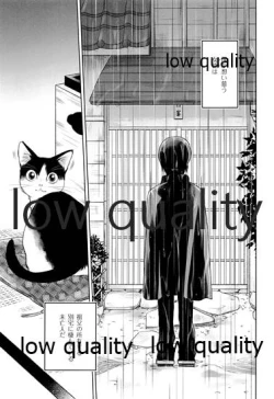 Page 6 of 春愁の猫