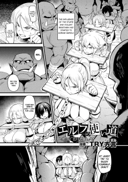 Page 1 of Elf no Tsukaimichi | The Way to Use Elves
