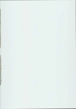 Page 2 of Escalate Suru Hentai Nelson