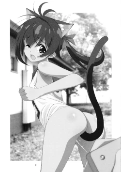 Page 3 of Himitsu no Asobi