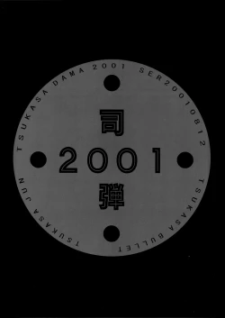 Page 7 of Tsukasa Bullet 2001