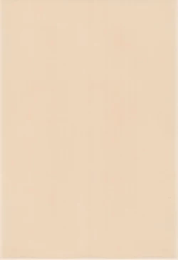 Page 4 of Comet-san Comical Comics