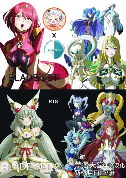 Page 1 of BLADE SET DX