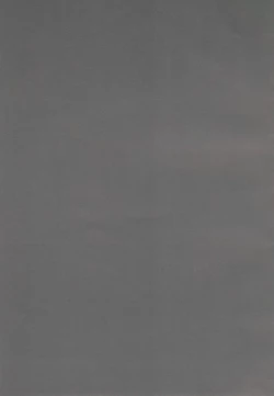 Page 14 of Zettai ☆ Taikan Kyonyuu Shugi