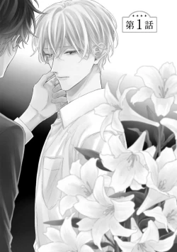 Page 6 of Shirayukihime ni Kuchizuke | 亲吻白雪姬 Ch. 1-5