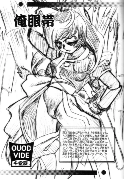 Page 17 of QUOD VIDE