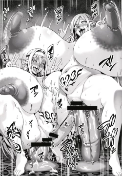 Page 258 of Houjou no Reizoku Elf