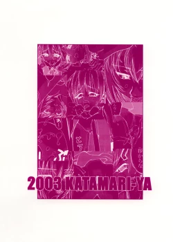 Page 33 of Shin Hakone Yumotoiki