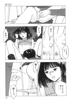 Page 66 of Kimi to Houkago