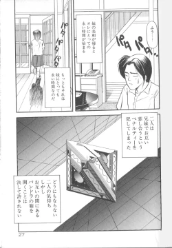 Page 28 of Yume no Naka Demo