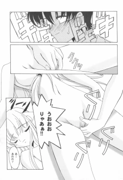 Page 19 of ClampCaptors