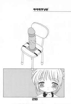 Page 28 of ClampCaptors