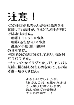 Page 2 of Kotori uke