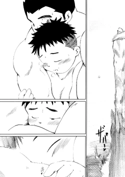 Page 17 of SENZURI II