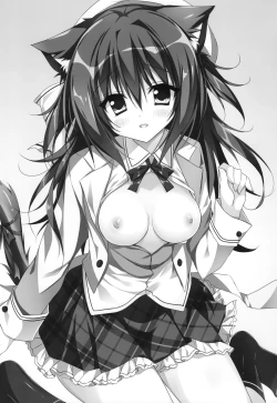 Page 3 of Kimi ha Nyanko de Osananajimi