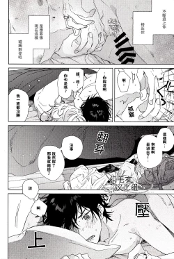 Page 50 of Cigar = Sugar