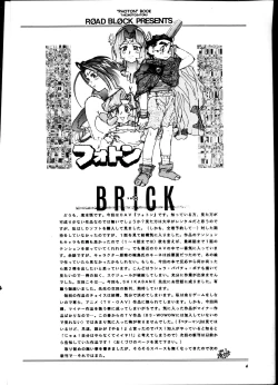 Page 3 of Brick