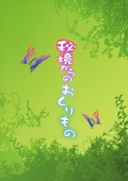 Page 2 of Hikyou kara no Okurimono | Delivered From An Unexplored Region