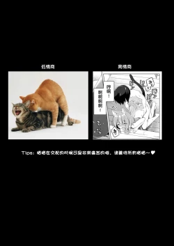 Page 29 of Boku no Risou no Isekai Seikatsu - My ideal different world life