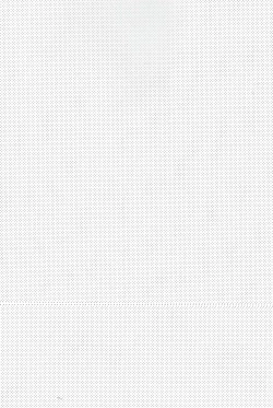 Page 4 of Mikoto to. 5 | With Mikoto. 5