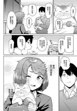 Page 24 of Neko nochi Amayadori