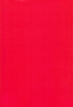 Page 20 of Akira-tama 2