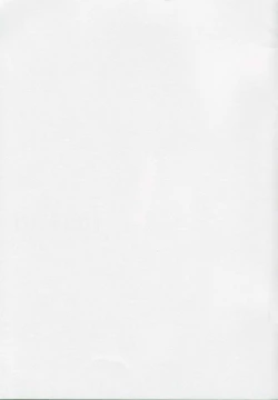 Page 15 of RIO CHANCE