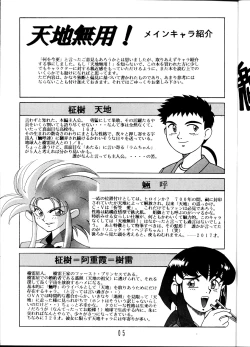 Page 4 of Tenchi Muyou! Sample Vol 6