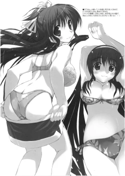 Page 12 of Modelers + shitajiki