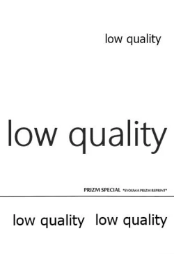 Page 33 of PRIZM SPECIAL REPRINT