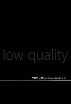 Page 3 of PRIZM SPECIAL REPRINT