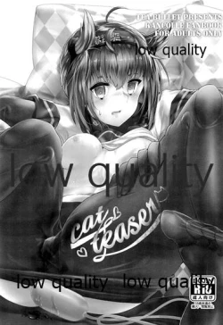 Page 2 of cat teaser