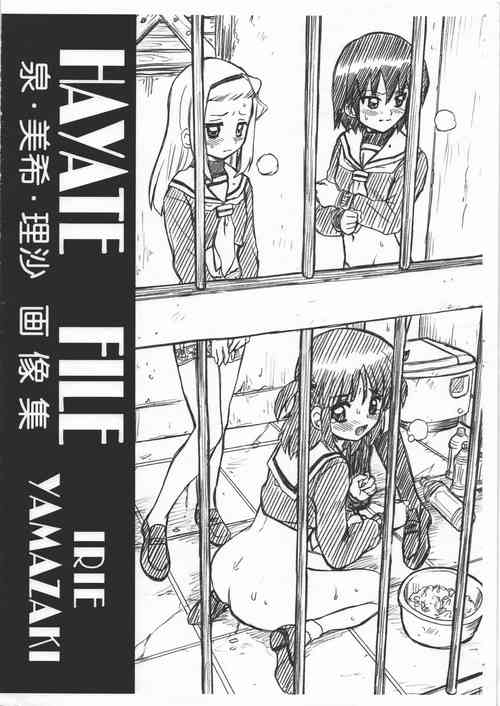 Download HAYATE FILE - Izumi Miki Risa Gazoushuu