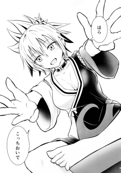 Page 29 of Harenchi! Matsuri-chan 1