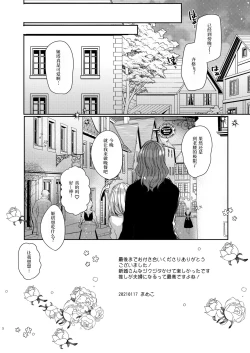 Page 5 of Siegfriedsan ni Narimashita