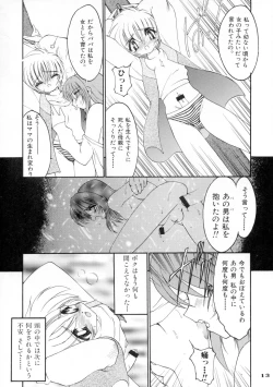 Page 13 of Ruuen Rohkaku Zero