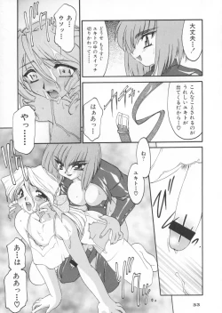 Page 33 of Ruuen Rohkaku Zero