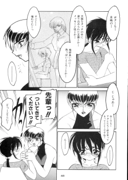 Page 45 of Ruuen Rohkaku Zero