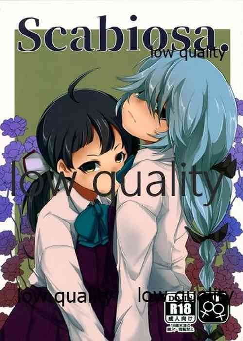 Download Scabiosa.