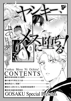 Page 2 of Yankee, Mesu ni Ochiru! | 不良雌堕! Ch. 1