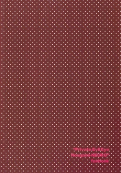 Page 24 of Hayabusa Haitaido