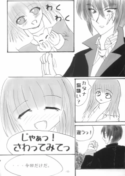 Page 11 of SHINODUKA