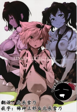 Page 3 of TENGU COLLECTION