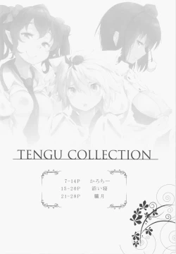 Page 7 of TENGU COLLECTION